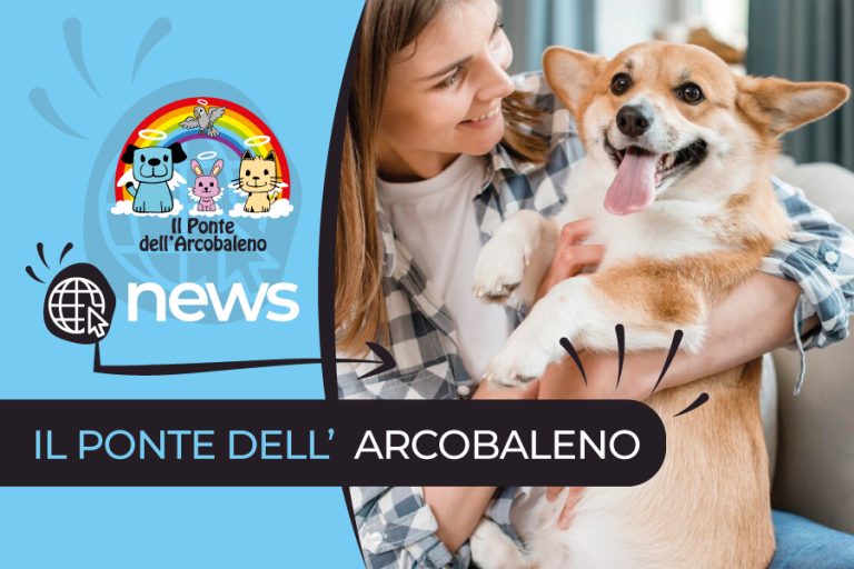 Gli Animali in Settembre: Come Cambia la Loro Vita con l’Arrivo dell’Autunno