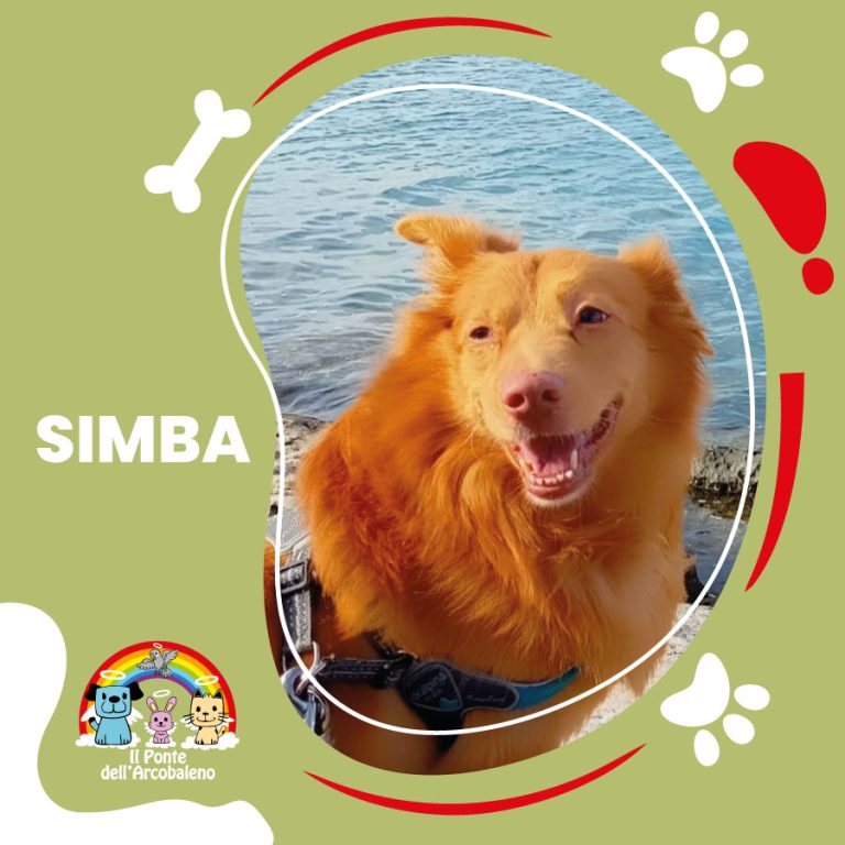 Simba