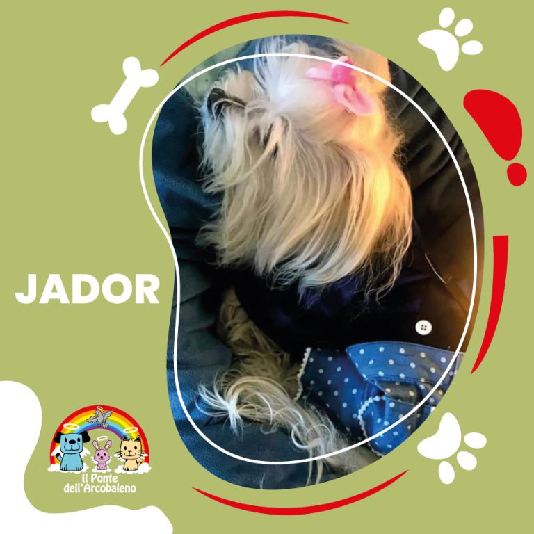 jador