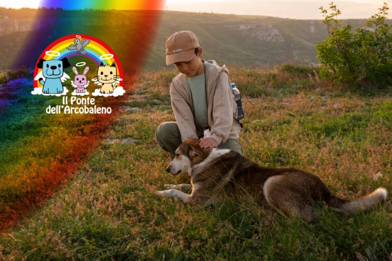 Giugno a Barletta celebra l’amore eterno per gli animali domestici