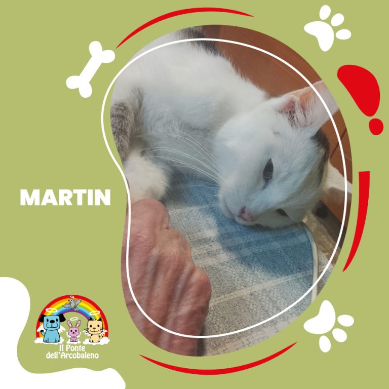 Martin