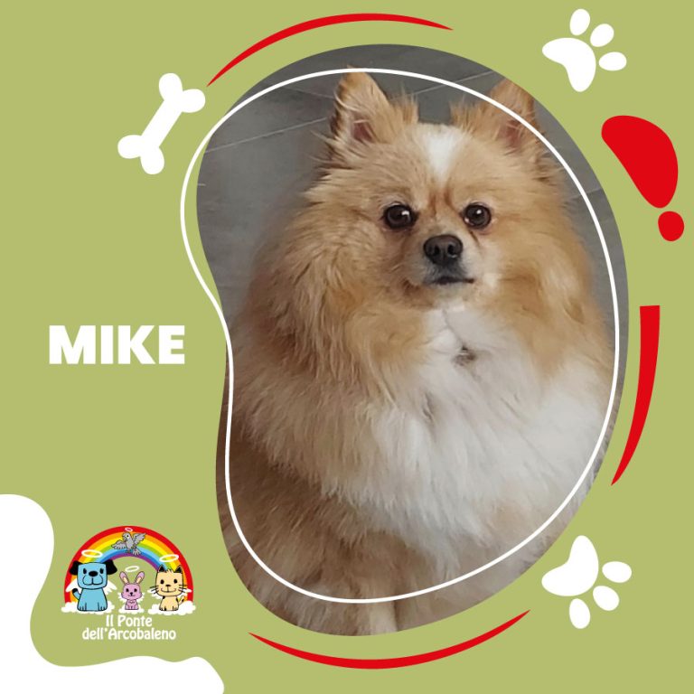 Mike