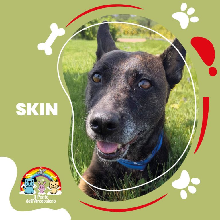 Skin
