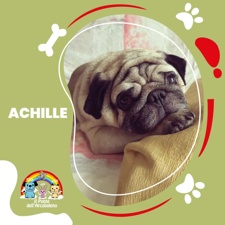 Achille