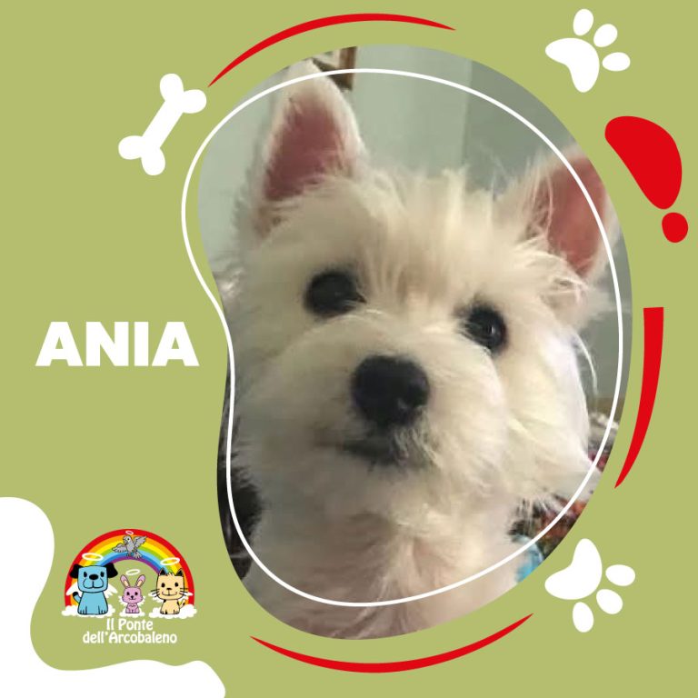 Ania