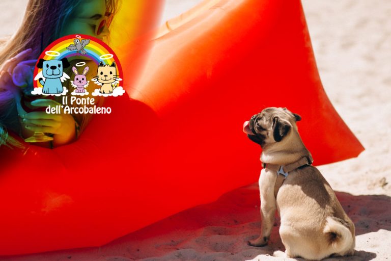 Ad agosto nel Lazio cresce l’amore consapevole verso gli animali domestici