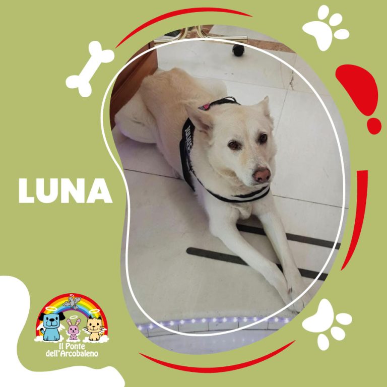 Luna