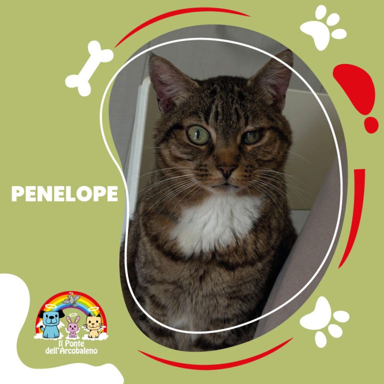 Penelope