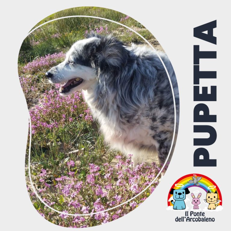 Pupetta